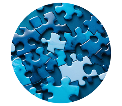 SF_selfaudit_survey_visual