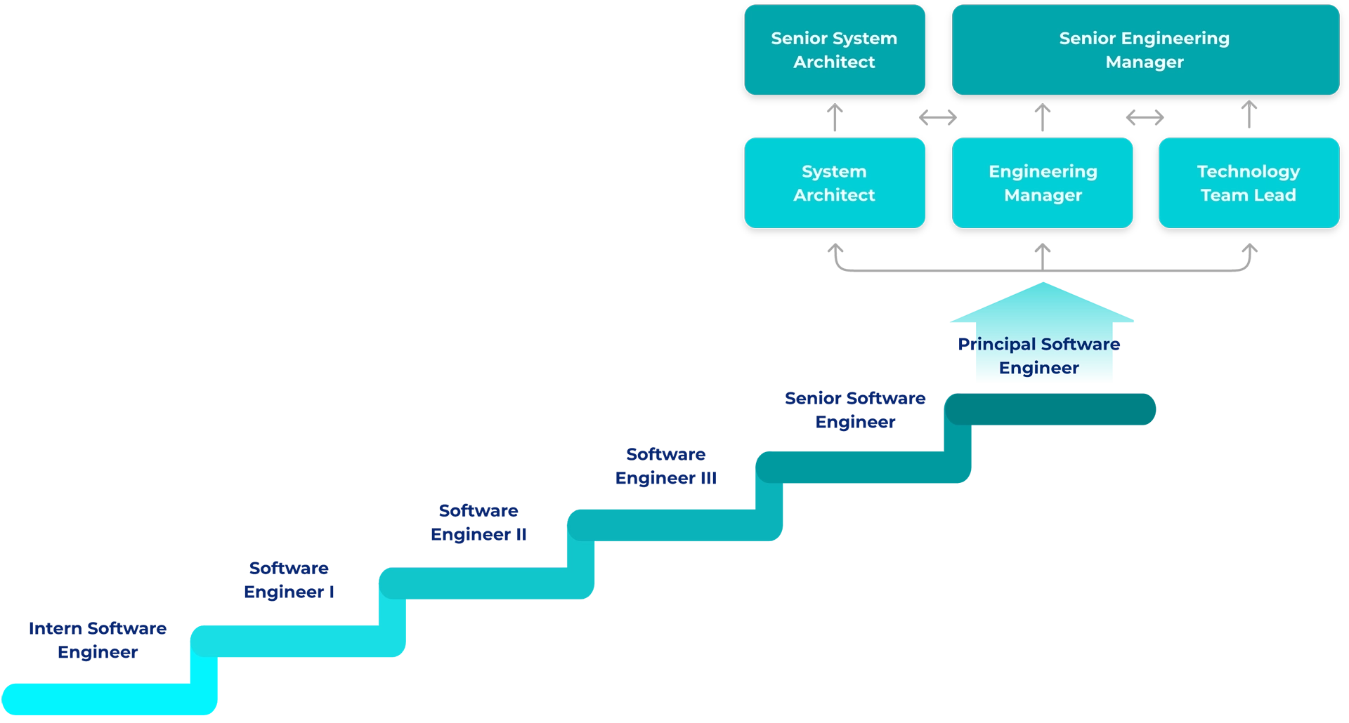 java_career_path_2025