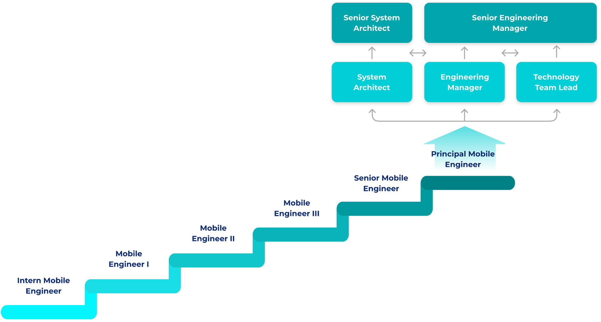 mobile_career_path_2025